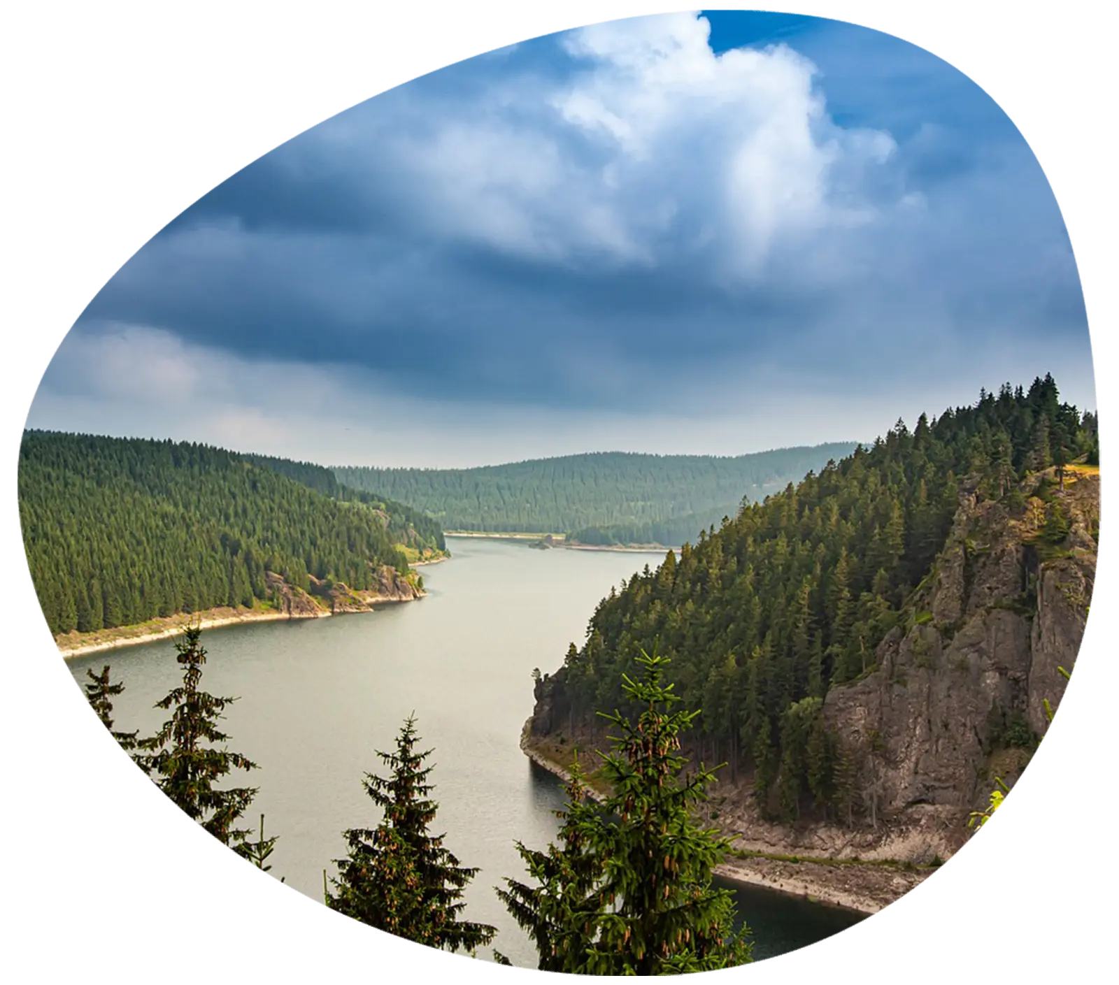 Webentwicklung Thüringen